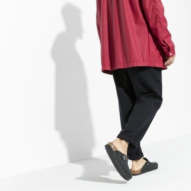 Boston negro de hombre