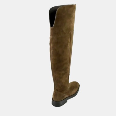 Mosquetera ante marrón