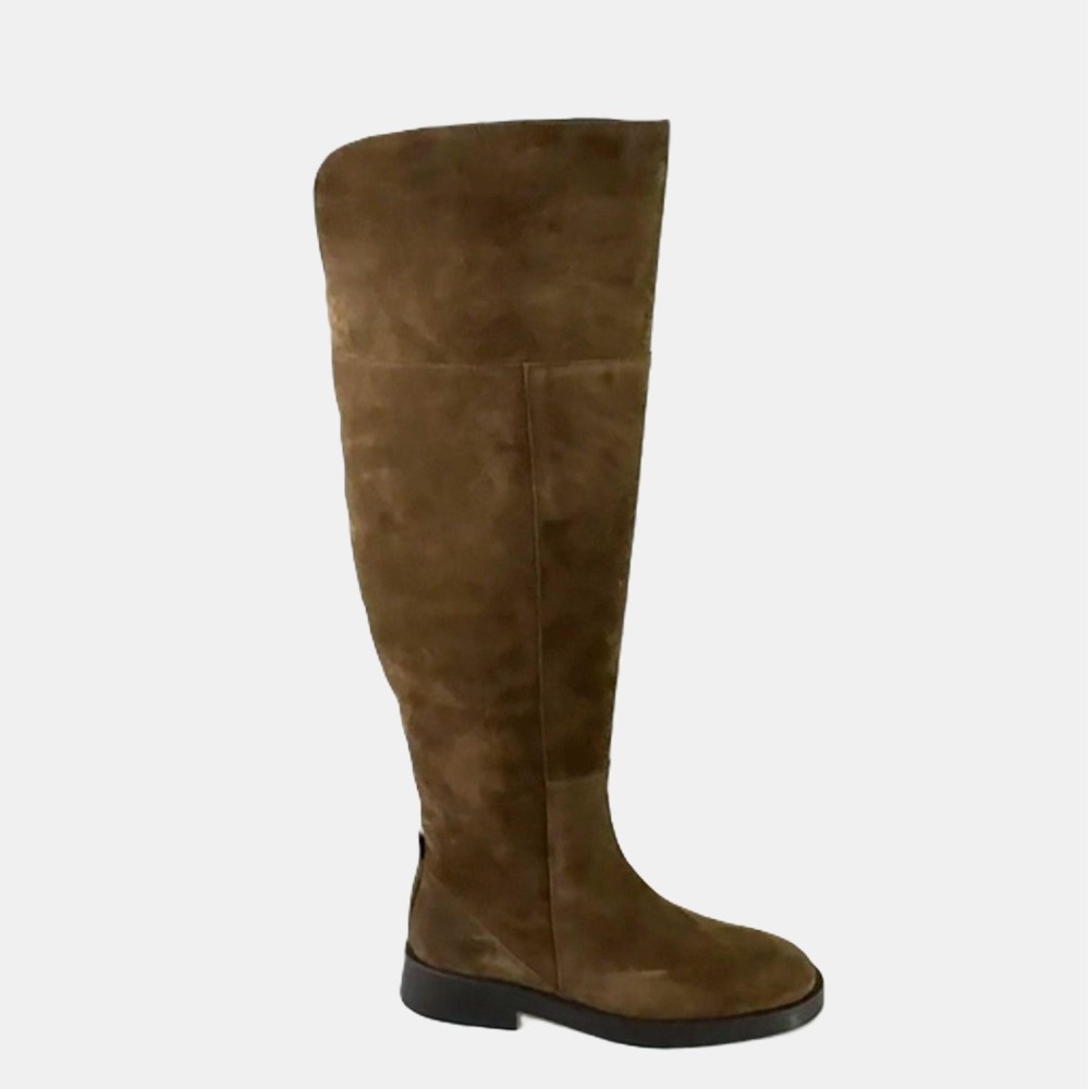 Mosquetera ante marrón